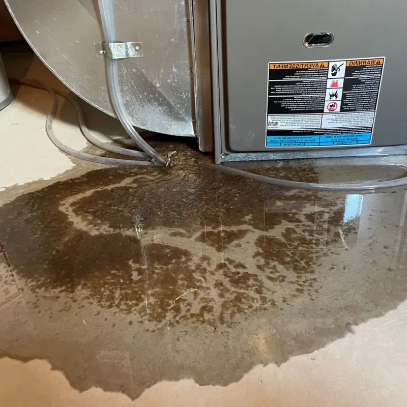 Pipe Burst and Leak Restoration in Mountain Brook, AL